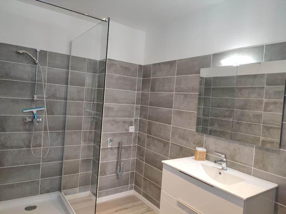 Appartamento La Bastide De Gabin / Conciergeriedamecarcas Carcassonne Esterno foto